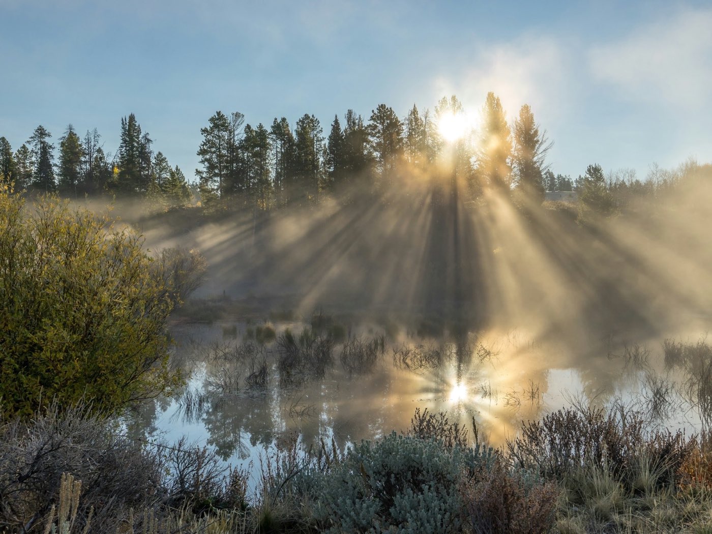 In the early-morning mist, sunlight breaks through behind the trees and lights the water